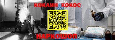 крисы Будённовск