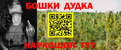 крисы Будённовск