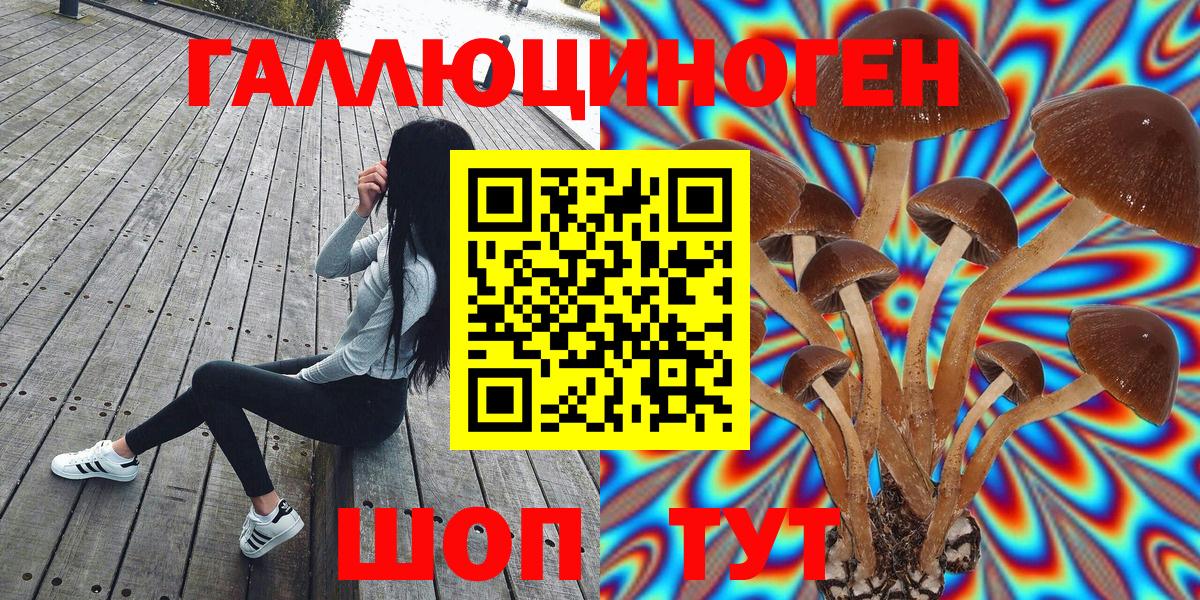 Галлюциногенные грибы мухоморы  Псилоцибиновые грибы Psilocybine cubensis  Реж  Вход с VPN 